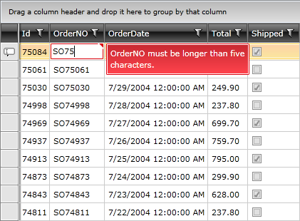 RadGridView_Validation_030